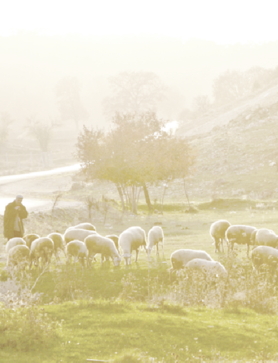 Psalm 23