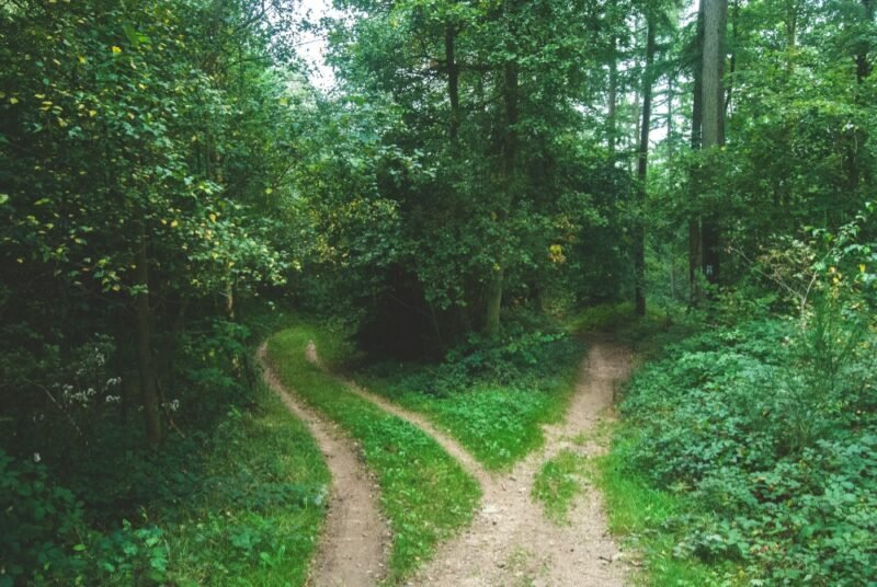 Decisions – jens-lelie-unsplash-2 Decisions - jens-lelie-unsplash-2