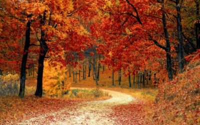 John 14:6 – No one comes to the Father except through Me