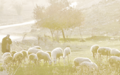 John 3:16 – Belief