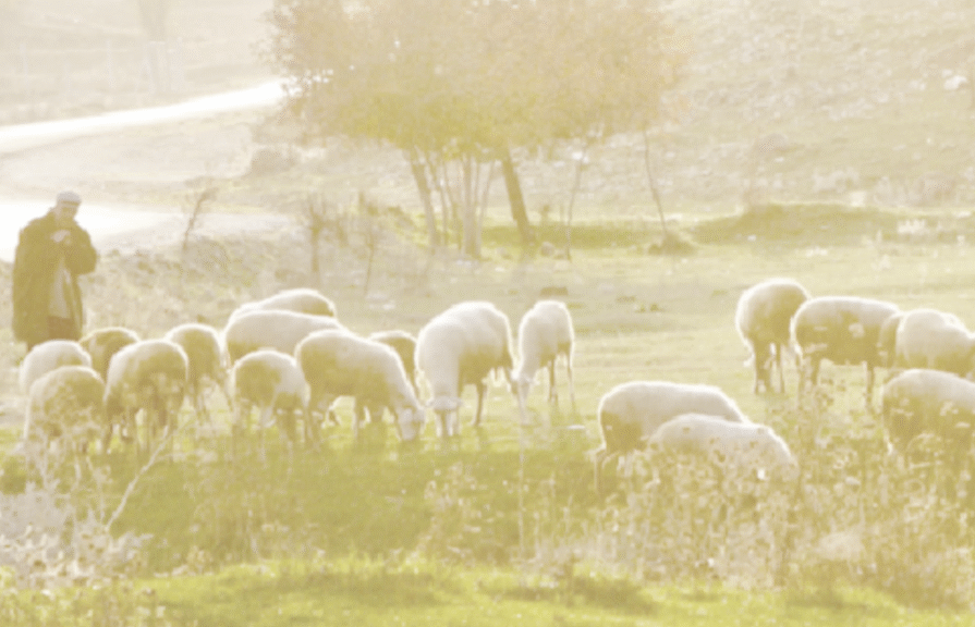 Psalm 23 background – L Psalm 23 background - L