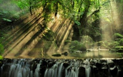 Romans 7:15 – Sanctification